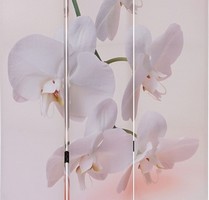 paravent-orchidee-200-13.jpg
